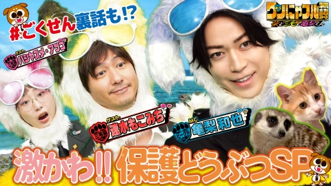 世界を救う！ワンにゃフル物語～柴と三毛と亀梨くん～ MC：亀梨和也！子猫モグの別れin保護猫57匹ハウス＆ベランダにヤギ