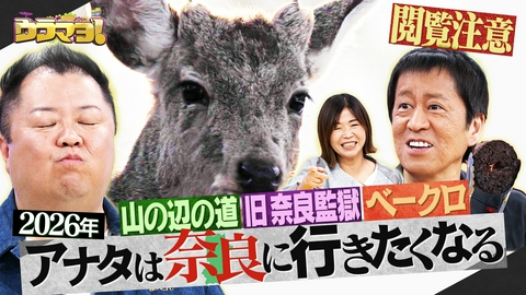 ウラマヨ！ #788　今年の奈良は本気ですSP