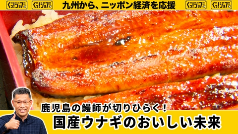 ぐっ！ジョブ 鹿児島の鰻師が切りひらく！ 国産ウナギのおいしい未来