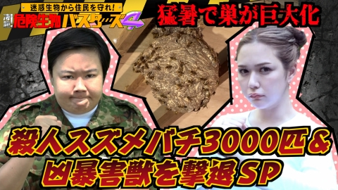 迷惑生物から住民を守れ！凄腕！危険生物バスターズ 危険生物バスターズ4★殺人スズメバチ3000匹の巣＆凶暴害獣を撃退SP