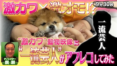 つまらなかったらスワイプしてください 激カワ×激オモ！？動物映像に一流芸人がアフレコ！