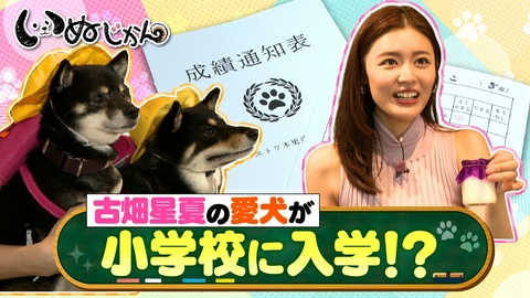 いぬじかん 飼い主もワンコも大満足！愛犬が小学校に入学体験ができるスポットへ！