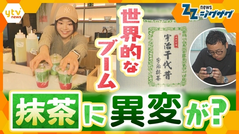 サタデーLIVE ニュース ジグザグ 日本が世界に誇る「抹茶」に異変！一体何が？緊急取材【ニュース ジグザグ】