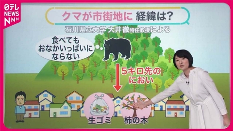 日テレNEWSセレクト 【冬眠前のクマ出没】都内でも目撃情報  主食のドングリ“大凶作”…  えさ不足で行動範囲は“5倍以上”に【#みんなのギモン】