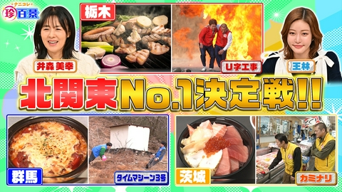 ナニコレ珍百景 群馬vs栃木vs茨城　意地とプライドをかけた北関東No.1決定戦SP!!