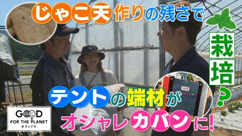 NEWS CH.4 グップラ×NEWS CH.4 愛媛のすごecoにChu-モク！