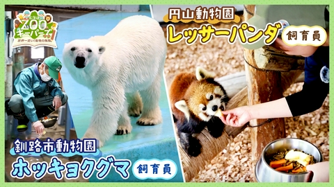 北海道ZOOキーパーズ～世界一近い！動物の素顔～ 世界中の生き物たちに出会える動物園がもっと面白く！