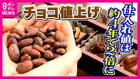 newsランナー バレンタイン危機！カカオ価格2倍に高騰　国産栽培や「代替チョコ」で打開策模索する日本　「安い時代には戻らない」専門家が警鐘
