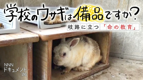 NNNドキュメント 学校のウサギは備品ですか？～岐路に立つ「命の教育」～