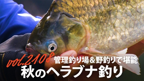 THEフィッシング 管理釣り場＆野釣りで堪能！秋のヘラブナ釣り