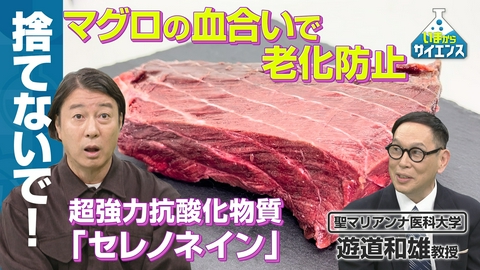 いまからサイエンス 【老化は遅らせられる？】すぐ手に入る！マグロの血合いを解明！遊道和雄（聖マリアンナ医科大学教授）