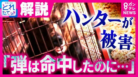 旬感LIVE とれたてっ！ 「弾は命中したのに…」冬眠明けの“巨大ヒグマ”がハンターを襲った恐怖の瞬間　今季初の「ヒグマ人身被害」「GW以降、人里でもさらなる警戒を」と専門家警告