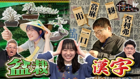 サンドウィッチマン＆芦田愛菜の博士ちゃん 日本の伝統文化を愛する博士ちゃんSP