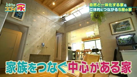 となりのスゴイ家 【4.5m吹き抜け】3階建て5層！太鼓橋が架かる家▼Wキッチンで快適