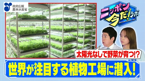 ニッポン 今だ！ラボ フードテック（前編）