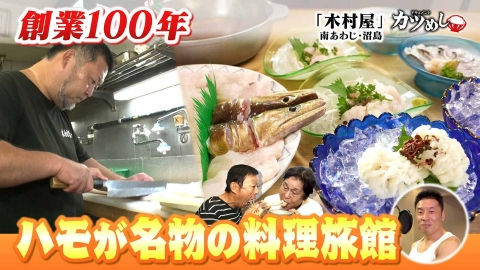MBSニュース特集 【カツめし】創業100年ハモが名物！離島の料理旅館　南あわじ・沼島「木村屋」