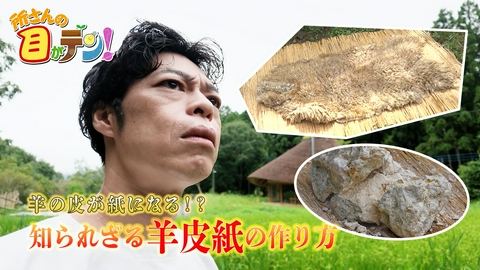所さんの目がテン！ 2000年前の情報革命!?本の元となった羊皮紙を作れ!