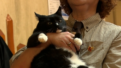 ねこ自慢 U字工事が山梨でねこ巡り！宿で暮らす猫特集！看板猫ランキング１位の猫