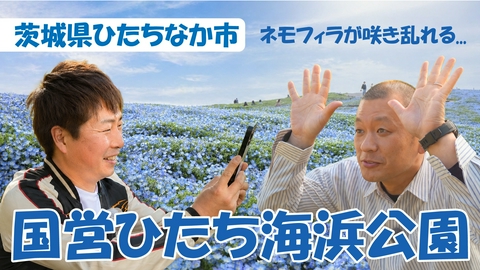 U字工事の旅！発見 国営ひたち海浜公園