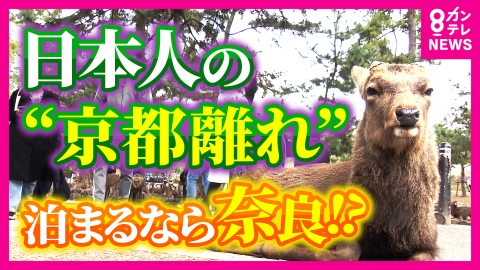 newsランナー 日本人の「京都離れ」の実態　宿泊するなら奈良　ホテルの開業ラッシュ続き“泊まれる”奈良へ　課題は「奈良の夜“早すぎ”問題」夜6時を過ぎると「人がいない」