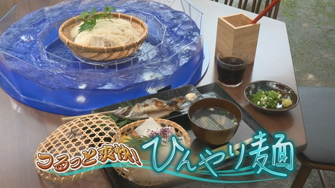 どーんと鹿児島 つるっと爽快！ひんやり麺