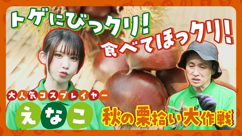 種から植えるTV 第233回 トゲトゲ注意！コスプレイヤー・えなこと秋の味覚 栗拾い