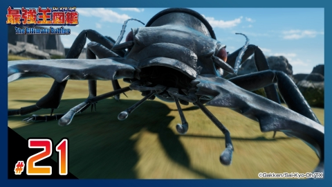 最強王図鑑～The Ultimate Battles～ 5月25日(土)放送分 【レギュラー