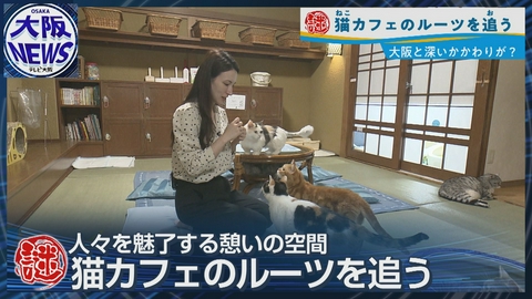 TVOやさしいニュース特集 「猫カフェ」実は大阪発祥だった！猫カフェが受け継ぐ優しい文化