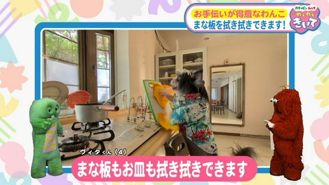 ガチャピン・ムック ねぇねぇきいて 第25回 お手伝いが得意なわんこ！