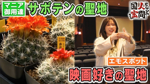 土曜日もよ～いドン！ 【関西屈指の聖地SP】元AKB48 横山由依！閉館寸前だった老舗映画館V字回復のヒミツ