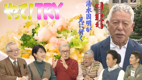 噂の！東京マガジン 11月13日(日)放送分 【やって！TRY】チャーハン【噂の現場】巨大データセンター建築に住民大反対｜バラエティ｜見逃し