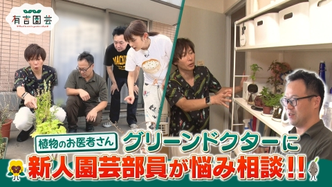 ⭐︎断捨離中⭐︎様限定 Chaki@断捨離中 (@gdgdyeah35) / Posts / X