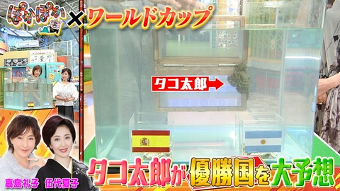 ぽかぽか 金曜（1）伍代夏子＆高島礼子W杯優勝タコ予想