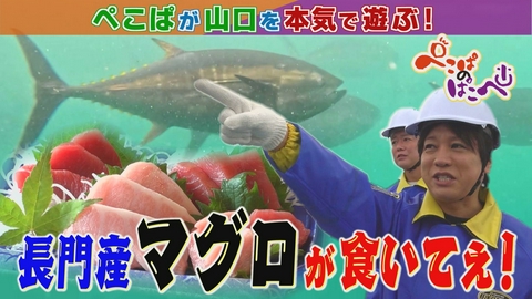 ぺこぱのぱこぺ 山口でマグロ養殖⁉＆アスリートが運営するオシャレカフェ！