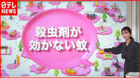 日テレNEWSセレクト 【解説】“スーパー耐性蚊”東南アジアで発見　同じ殺虫剤の継続的な使用で…『知りたいッ!』
