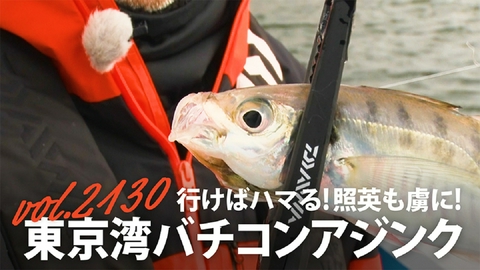 THEフィッシング 行けばハマる！照英も虜に！東京湾バチコンアジング