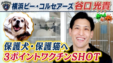 And One 横浜ビー・コルセアーズ 「3ポイントワクチンショット」愛犬家選手が動物守るプロジェクト
