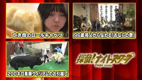 探偵！ナイトスクープ 5月23日(金)放送分 【依頼③】200キロ黒豚