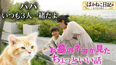 加登presents はかねこ日記～あの日の続き～ パパと絵日記