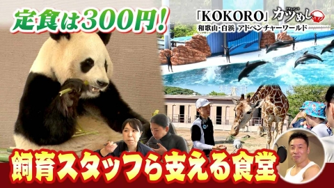 MBSニュース特集 【カツめし】パンダら求めて来場者続々！アドベンチャーワールドの社員食堂に密着　和歌山・白浜町「KOKORO」