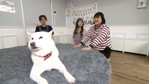いぬじかん 6月21日(土)放送分 島崎遥香がフォトスタジオで大興奮
