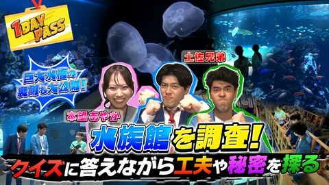 気になる世界に1歩イン！1DAY PASS 第17回 土佐兄弟＆本望あやかが水族館の裏側を調査！