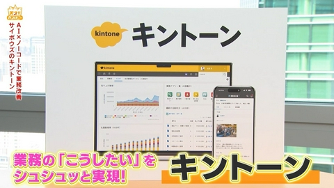 天才！！カンパニー サイボウズのキントーンで遼河はるひの秘密をシュシュッと分析!