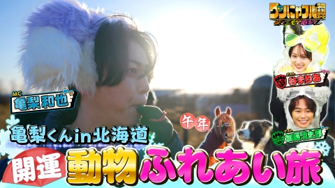 世界を救う！ワンにゃフル物語～柴と三毛と亀梨くん～ MC：亀梨和也！モフモフ猫祭り！シャーシャー保護猫＆63匹衝撃猫ハウス