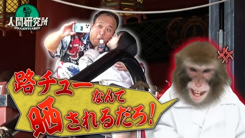 人間研究所 ～かわいいホモサピ大集合!!～ 【激写】Ｍ－１芸人・大鶴肥満が浅草路チュー＆激眉俳優・加藤諒が切実バイト『本日の研究・有名ホモサピはＳＮＳに怯えてやりたいことやれないらしい』