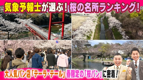 太田×石井のデララバ 気象予報士が選ぶ！桜の名所ランキング！
