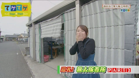 てゲてゲ 「巡礼！無人販売所PART2」