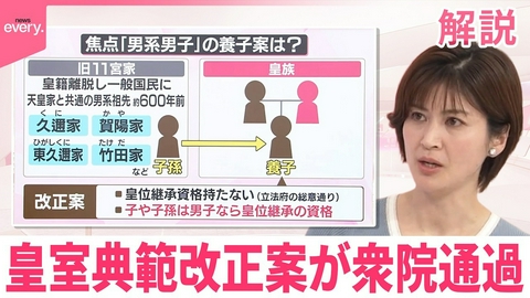 日テレNEWSセレクト 【解説】旧宮家の養子の子孫に皇位継承資格 皇室典範改正案が衆院通過【イチから確認 高市政策】