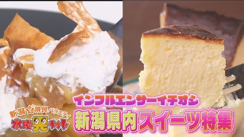 新潟全県民バラエティ 水曜見ナイト ニイガタ県民投票！スイーツ大集合