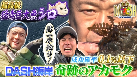 激レアさんを連れてきた。 6月2日(月)放送分 若林正恭＆弘中綾香